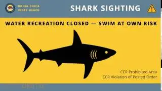 [DEMO] California State Parks | Bolsa Chica State Beach | Shark Sighting