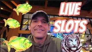 MIDNIGHT LIVE🌜Playing Slots in California🙏🍀🍀🍀