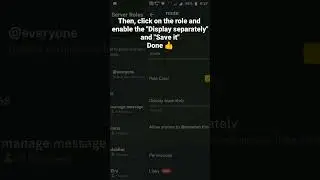 How to display a role separately in Discord Mobile 