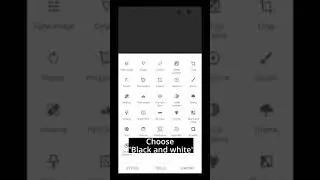 Convert color image to black and white with Snapseed Tools