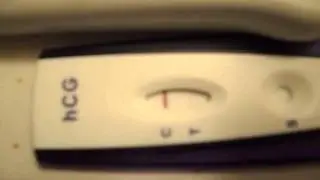 Pregnacy Test 8/13/13
