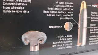Munizioni per la caccia al cinghiale e selezione , con palla BONDED