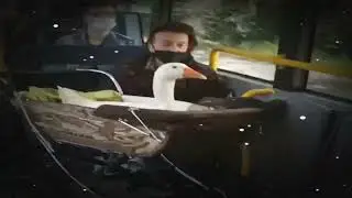 вот такое видели