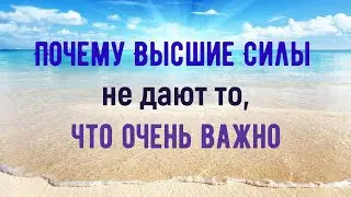 ВАЖНОСТЬ И ЗАВИСИМОСТИ~КАК ЛОЖНЫЙ ИМИДЖ ПОТРЕБЛЯЕТ ЭНЕРГИЮ ~ СЕМЬЯ И КАРЬЕРА