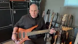 Manne Basic XLR 5-String Bass (1999)