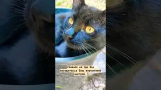 Будьте позитивны!