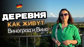 Как живут в деревнях в Германии / Выращивание винограда / Деревня и горы