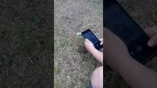 ВНУЧЕК ПОХОРОНИЛ ШМЕЛЯ 🤣🤣🤣🤣