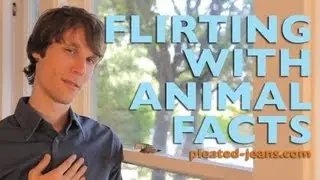 Flirting With Animal Facts