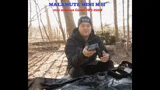 ☀Прогулка в лес с маламутом© Быстрый обед на огне🔥 Мои впечатления👍