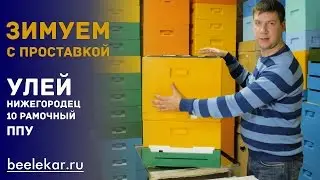 Зимовка пчел 10 рамочный  улей ППУ Нижегородец
