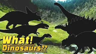 공룡 퍼즐|Dinosaur Puzzle game |Guanlong,Dacentrurus,Sinraptor,Camarasaurus,Torosaurus,Pachyrhinosaurus