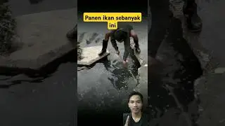 Sungai ini banyak ikannya #viralvideo #shortsviral #fish #fishing #mancing