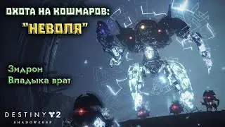 Destiny 2 Обитель Теней - Охота на Кошмаров: Неволя (Зидрон) 🔴169