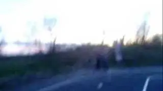 Mike sk8ting for FVSS