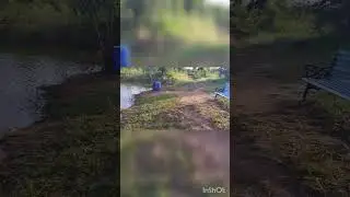 My Daily Morning Time with Nature