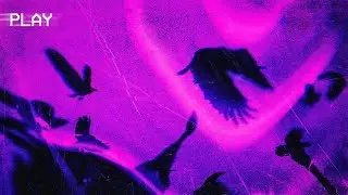 Vayu - Birds
