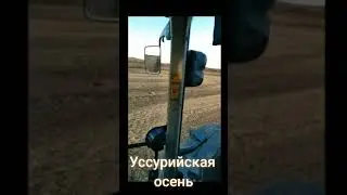 Уссурийская осень работа на тракторах CLAAS AXION