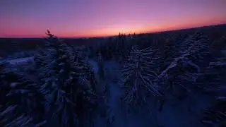 Релакс 