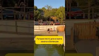 Дарю вам идею для вечерней прогулки в Валенсии)