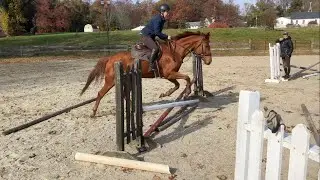 Mondeuse First Jump Lesson 11122023