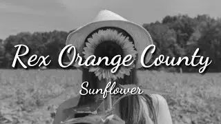 Rex Orange County - Sunflower (LYRICS)