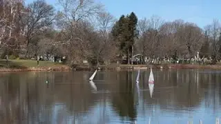 jnetlife : RC Sailboats and the Backyard Bunny