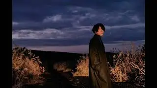 ZINNIA - Lynch.  [ Sub. Español/ English ]