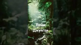♡Куда бы ты хотел попасть?♡