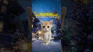 How does the New Year's mood work?