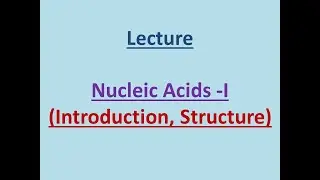 What is Nucleic Acids #dna #rna #nucleic acids