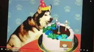 Elmo’s World Babies Dogs and more only Birthday Cakes
