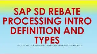 REBATE PROCESSING INTRO DEFINITION AND TYPES