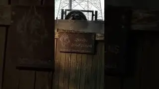 Осторожно, злая собака!
