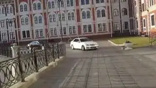 как с ними бороться? досмотрите до конца!