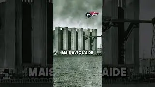 Le saviez vous ? Volkswagen et son histoire