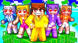 Rizzing MY CRAZY FAN GIRLS On One MILLIONAIRE Block In Minecraft...