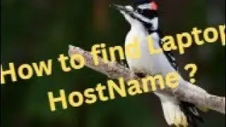 How to find a computer hostname