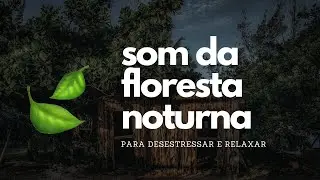 🍃 Som do Anoitecer na Amazônia (Som da Amazônia para Meditar e Relaxar)