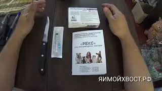 Прививка щенка ч. 1( теория, подготовка инъекции )