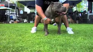 The Best Of Gottiline Part 1