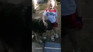 #шаман #собака #кавказскаяовчарка #друг #мойпес