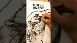 Guess the Bird😍