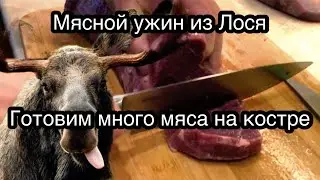 Мясо лося на костре. Готовим лосятину в казане и на мангале.