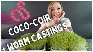 Worm Castings on Coco Coir for Microgreens — Does It Improve Growth?