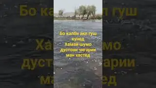 25 октября 2023 г.