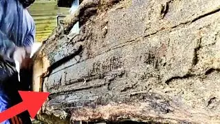 WORST INCIDENT, GIANT WOOD CUTTING