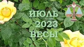ВЕСЫ | Послания Вселенной на ИЮЛЬ 2023 года | ЖЕЛАНИЕ | ТАРО расклад