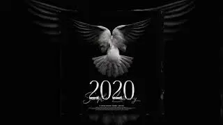 (250+) Sample Pack 