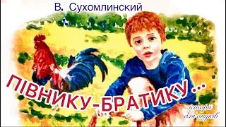 В. Сухомлинський.ПІВНИКУ-БРАТИКУ…(Дітям 5 -9 років) . Аудіооповідання./Мова: Українська/